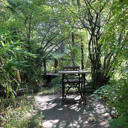 Grenzfall برلين